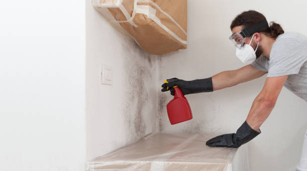 Professional Hvac And Air Duct Mold Remediation technician working in Tenafly, NJ